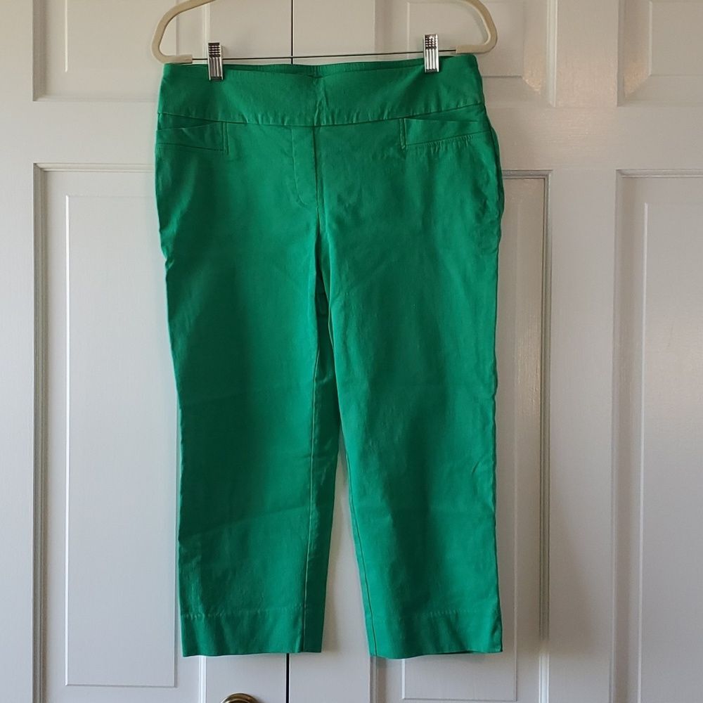 ZAC & RACHEL BRIGHT KELLY GREEN CAPRI CROPPED PANTS SIZE 8 PULL ON ELASTIC
